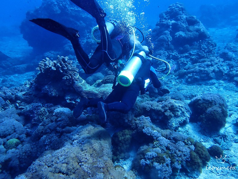 綠島活動精選-綠島一對一潛水體驗-與海龜同游-樂潛殿