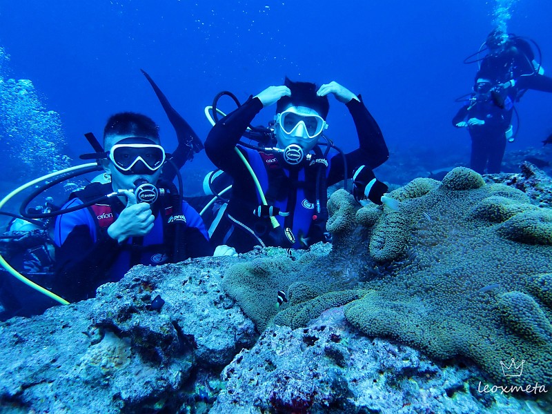 綠島活動精選-綠島一對一潛水體驗-與海龜同游-樂潛殿