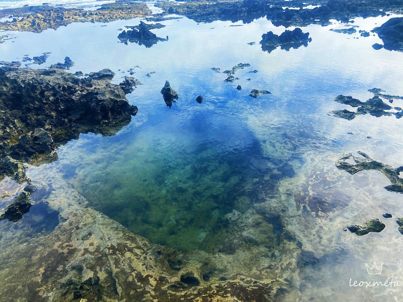 綠島藍洞跳水-裙狀珊瑚礁