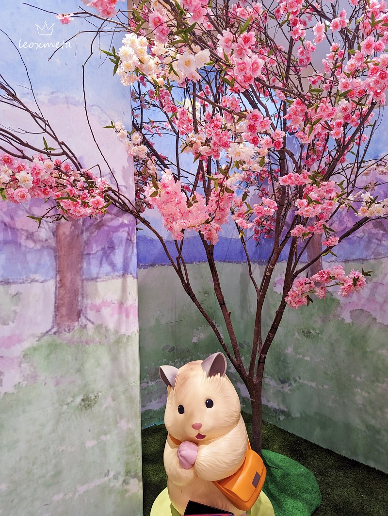 助六の日常打卡點：浪漫櫻花樹